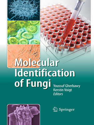 cover image of Molecular Identification of Fungi